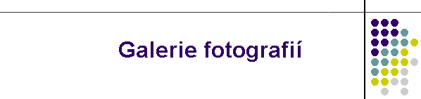 Galerie fotografi�